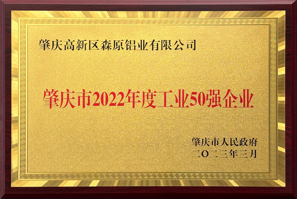 2022肇庆工业企业50强